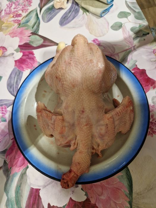 Домашний блойлер
