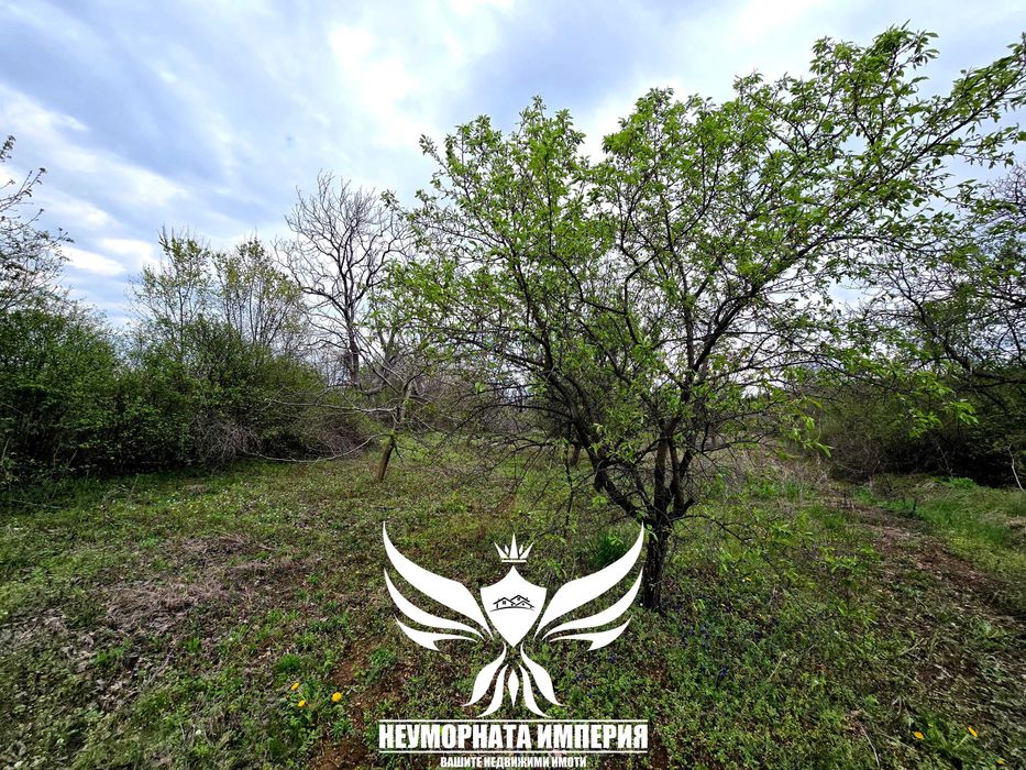 Продава се Земеделски имот в с. Червен, Област Пловдив -  кв.м за 12150 €/дка - Снимка #8