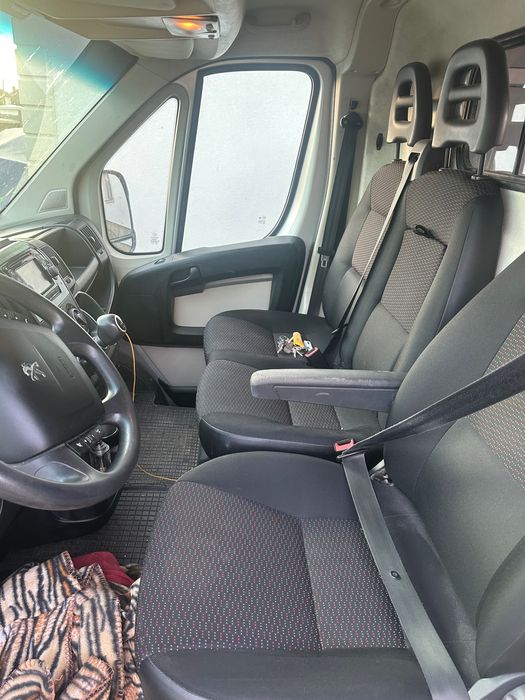 De vânzare pegeout boxer