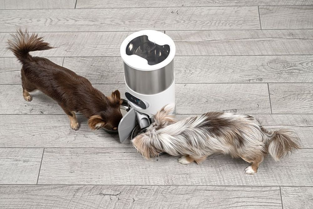 PawMeal- смарт автоматична хранилка за домашни любимци