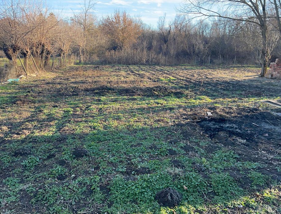 Продава се Парцел в с. Борован, Област Враца - 4000 кв.м за 16 €/кв.м - Снимка #4