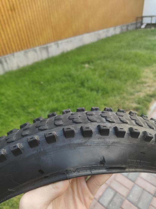 Maxxis dissector