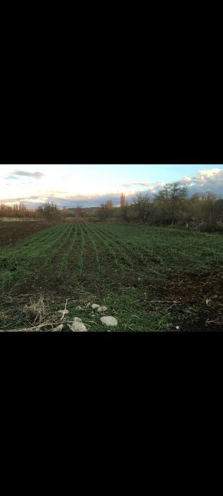 Продаётся дом, яблоневый сад, фазенда!!