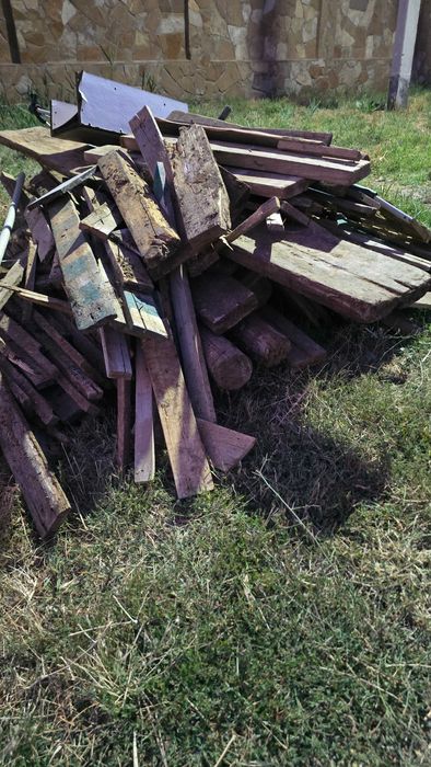 Дрова Отынға ағаштар тегін алып кетіңіздер