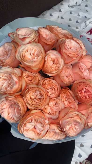 Цветы,пионовидные розы