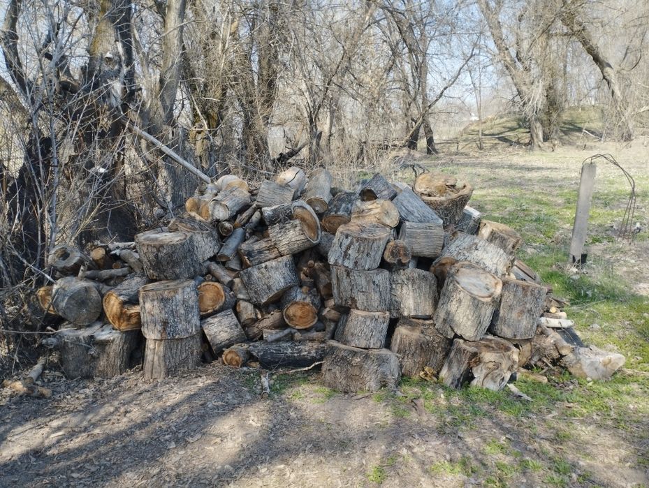 Дрова на продажу