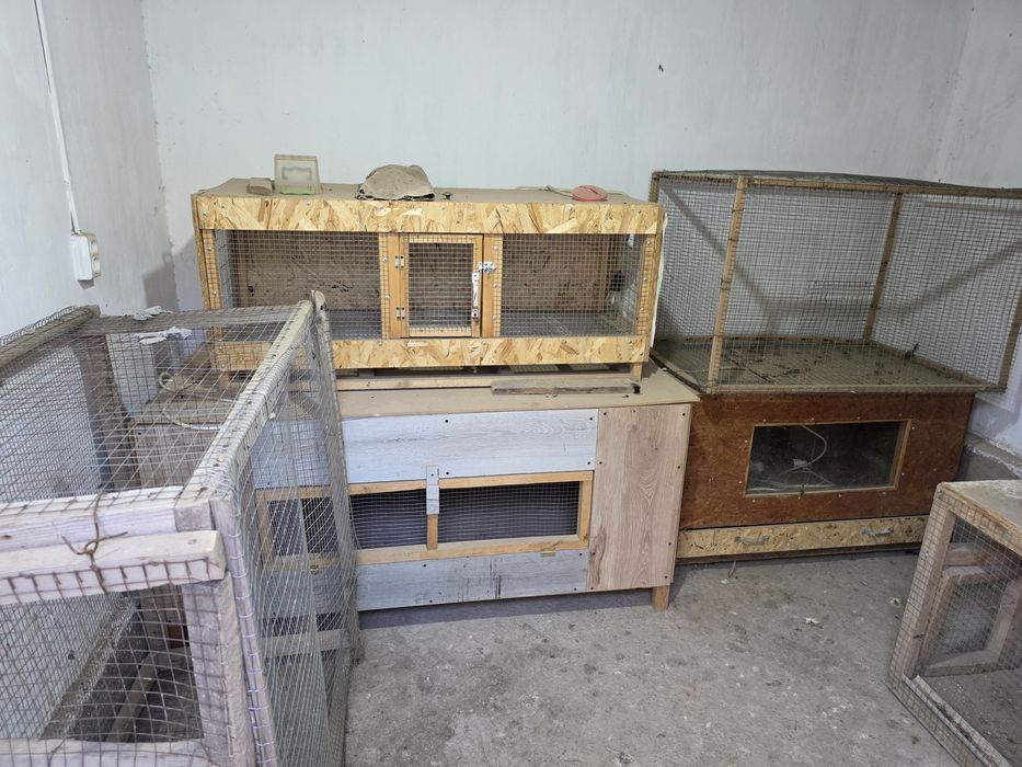 Осы брудер клеткалар сатылады