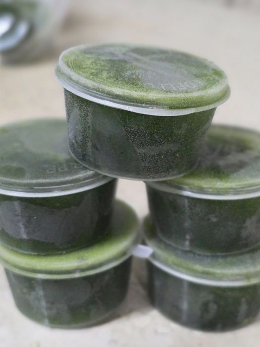 Витграсс сок из ростков пшеницы