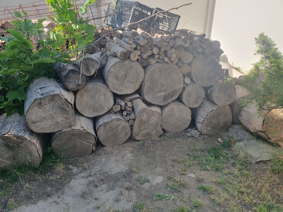 Vand lemne de foc platan