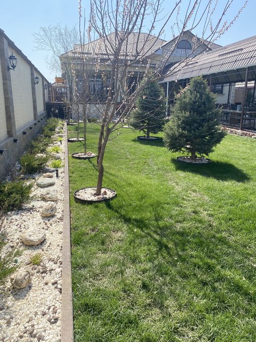 Газон и автопалив