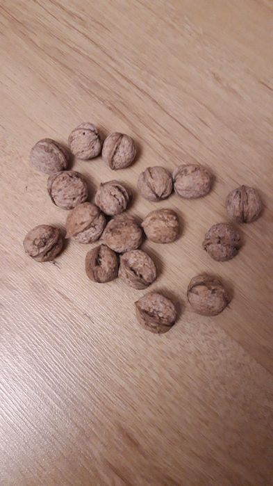 Орехи грецкие местные