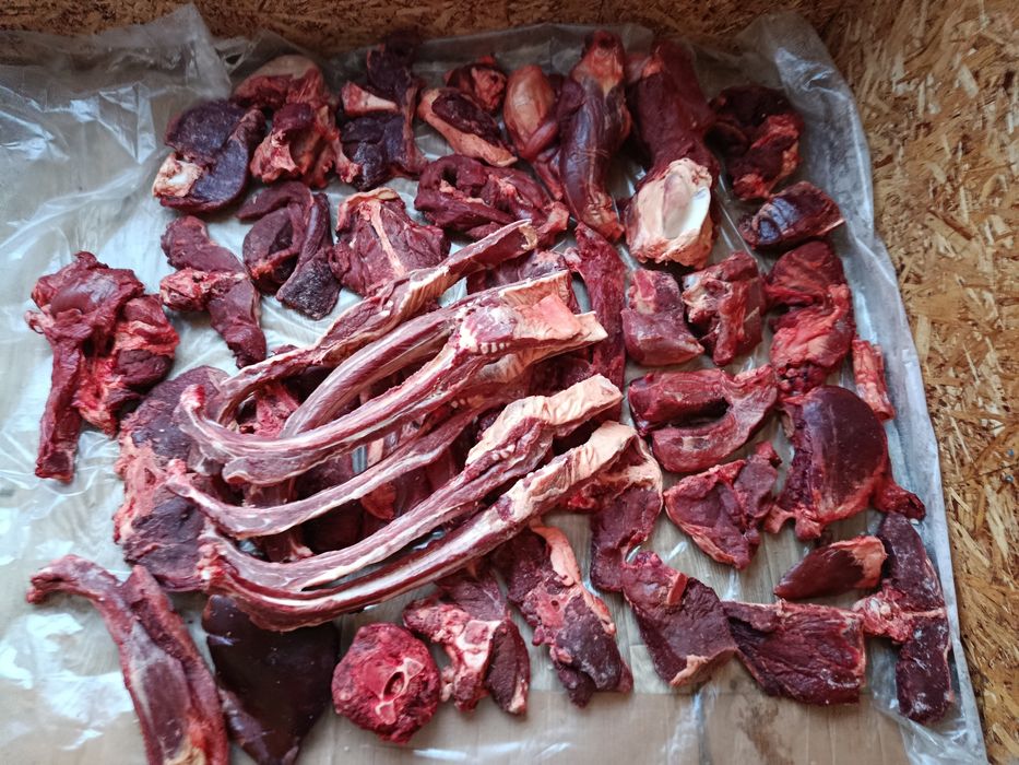 Продам мясо свежей конины