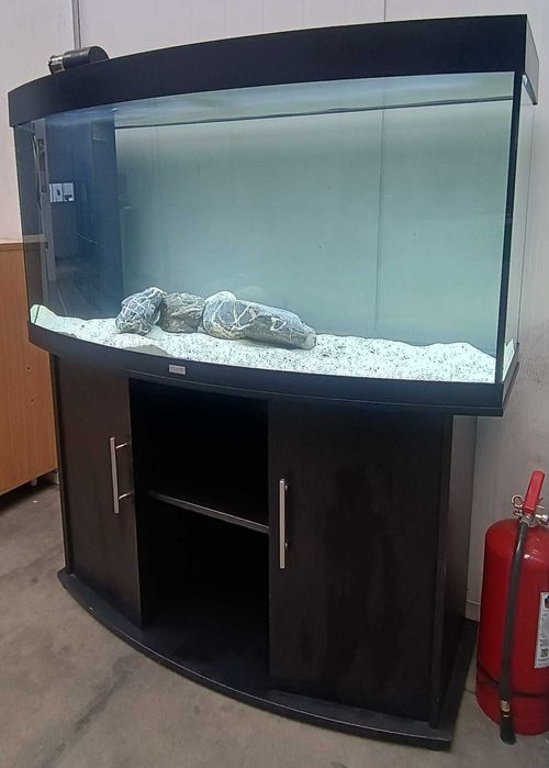 Acvariu Juwel Vision 260 NEGRU