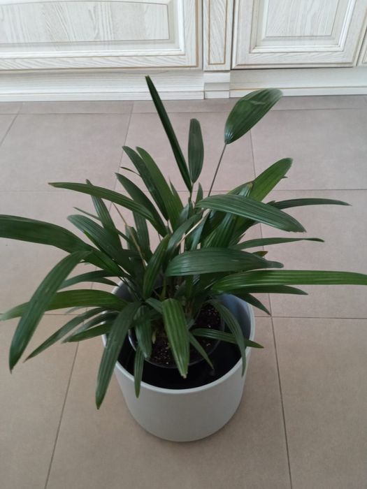 Кашпо 2вида:серого и кирпичного