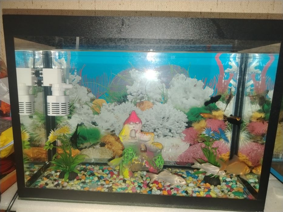 Аквариум сотилади