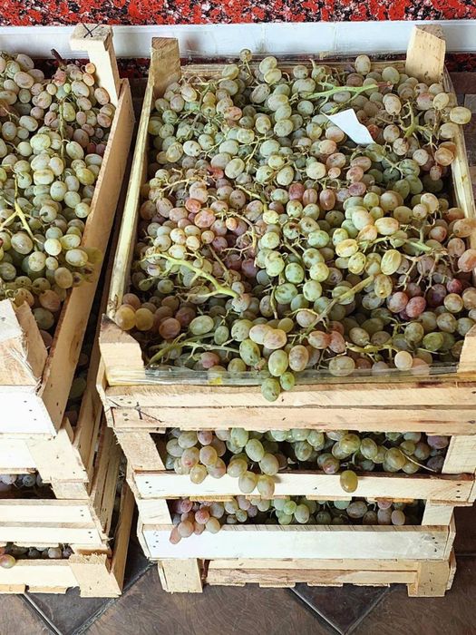 виноград прямо из саду