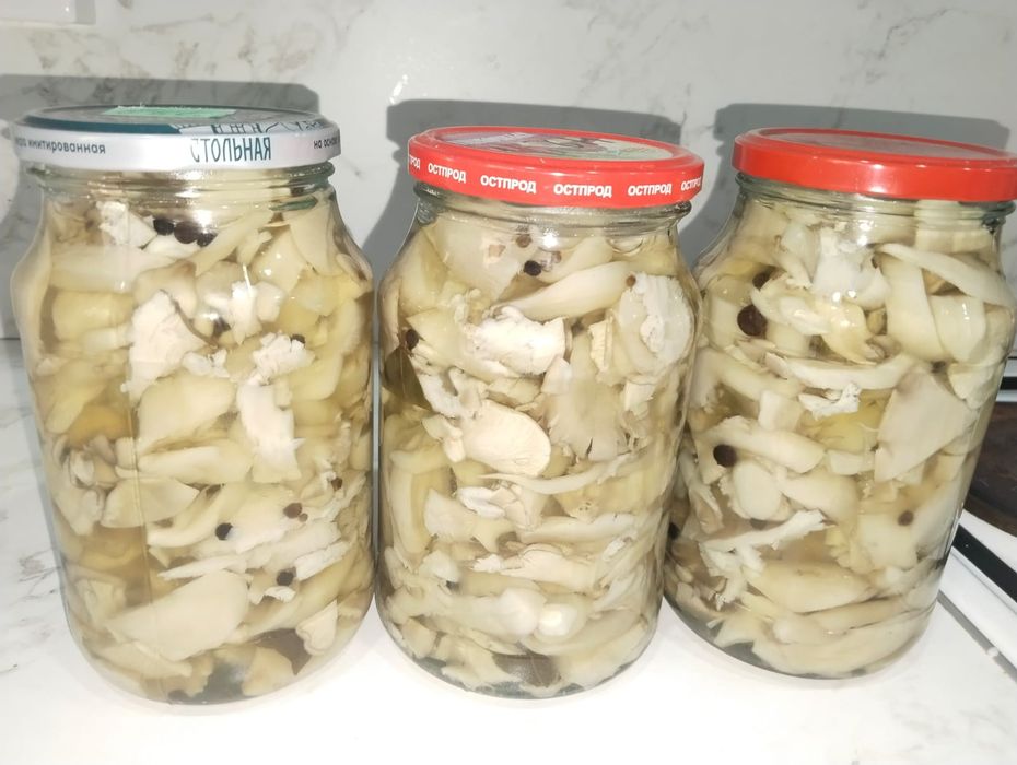 Продам маринованные грибы