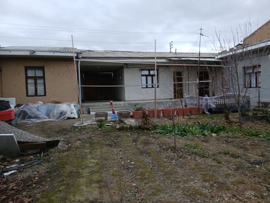 Зангиота туманида 8 сотихли ховли сотилади.