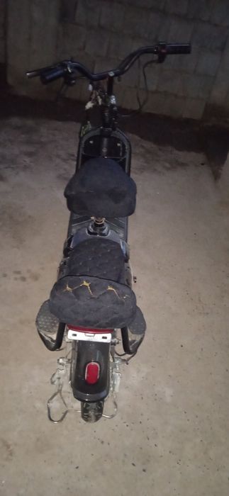 Суктердың жағдай жақсы