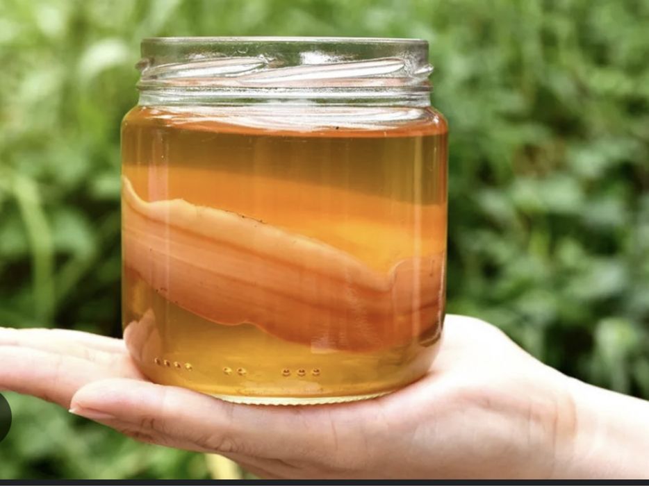 Kombucha ceaiul zeilor