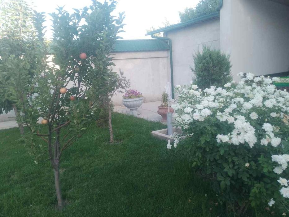 Toshkent viloyati Yangiyoʻl tumani Chamanzor maxallasi 161 uy 9sotix
