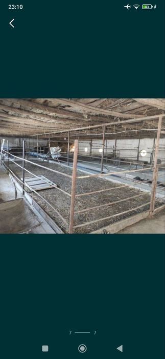 Dacha sotiladi orta saroyda uy sotiladi