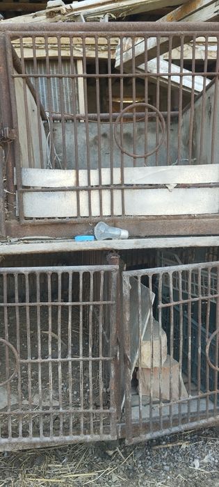 Клетка бодене балапан асырауга