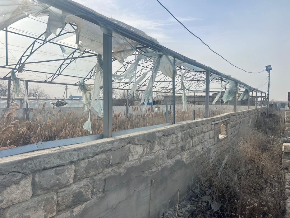 Аренда теплицы в Балауса