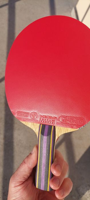 Paleta tenis de profesională