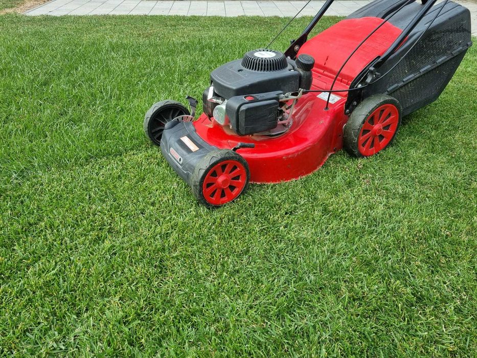 Întreținere Grădini: Tuns Gazon, Gard Viu, Toaletare Pomi & Curățenie Generală