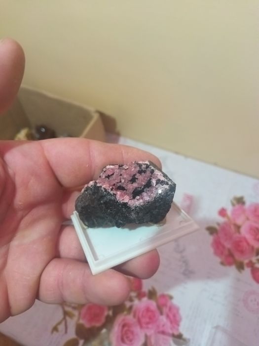 Flori de mina  din străinătate