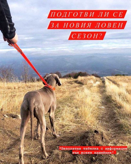 Каишка /за ловни кучета/- С ИМЕ И ТЕЛЕФОН