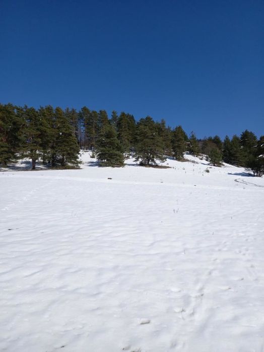 Продава се Парцел в Батак - 2848 кв.м за 31 €/кв.м - Снимка #2