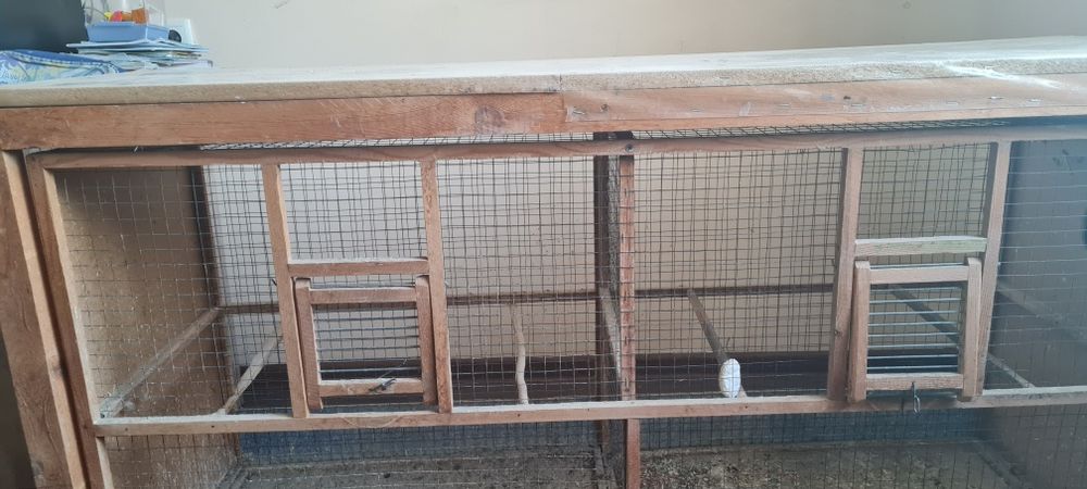 Клетка кушлар учун