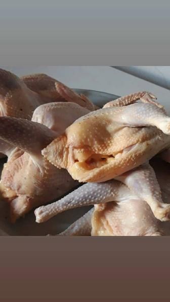 Продается домашние гуси, утки