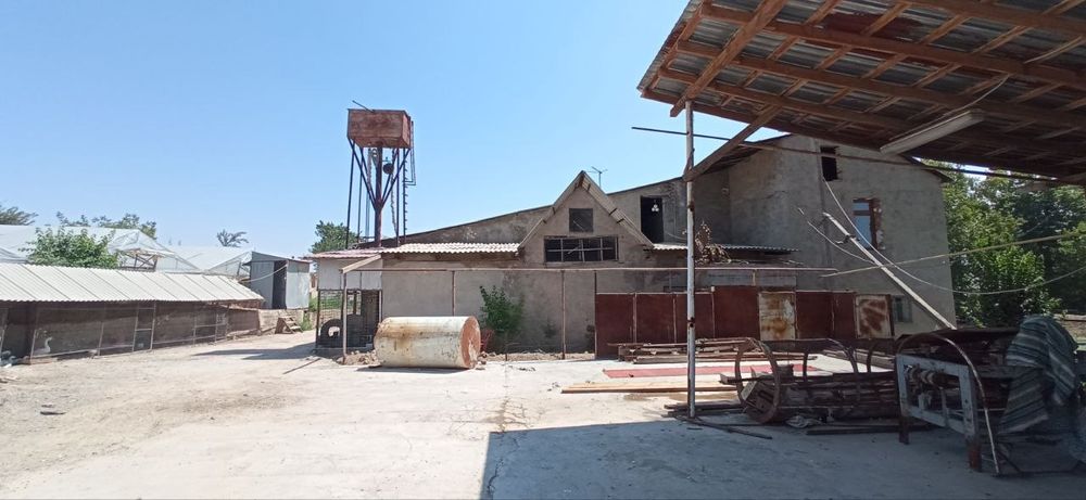 Dacha, yer dala hovli, 60 сотих майскийда жойлпшган