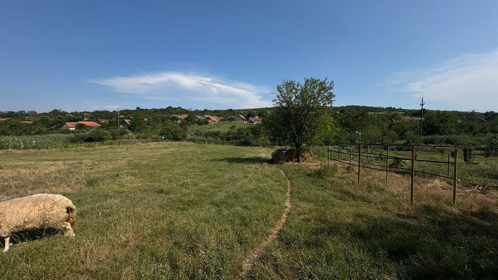 Cabana și Teren Generos în localitatea Hening