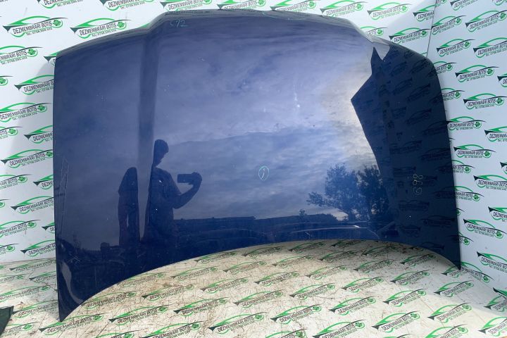 Capota motor Defecte minore Volkswagen VW Bora prima generatie