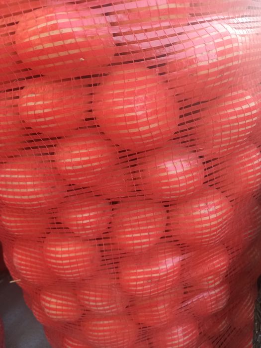 Продам семенной картофель