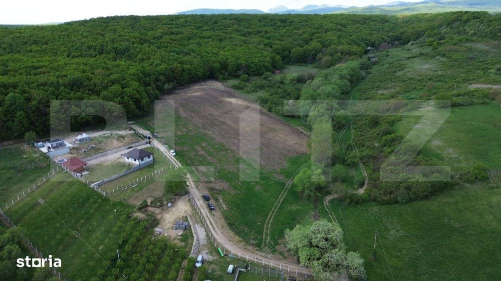 Teren 15.100 mp la baza padurii – ideal parcelare | 14 loturi | priv