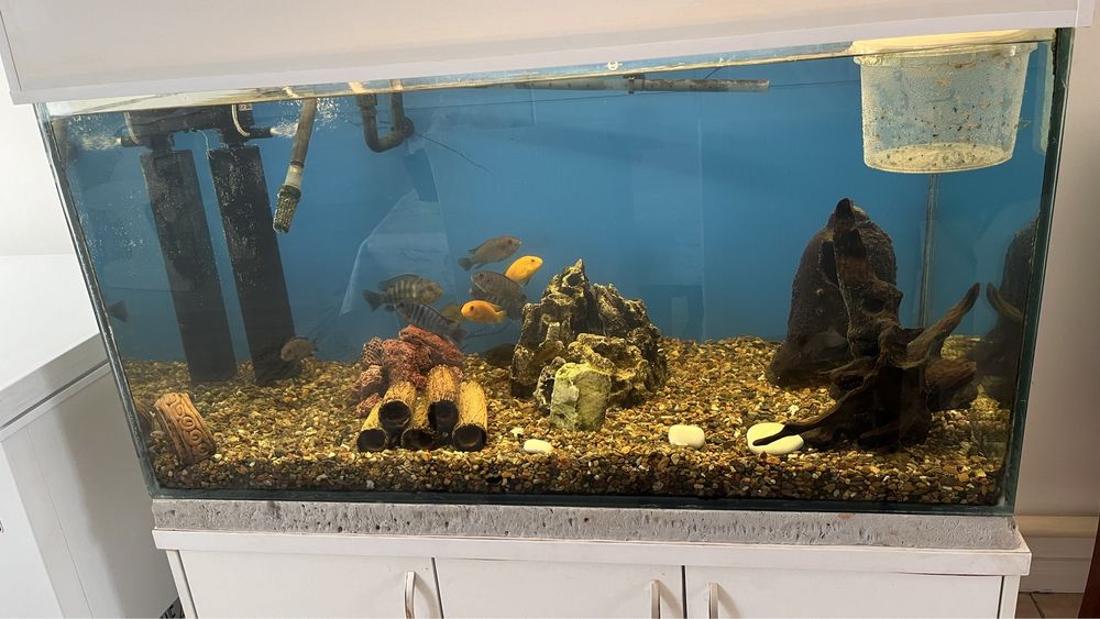 Продам Аквариум 400л