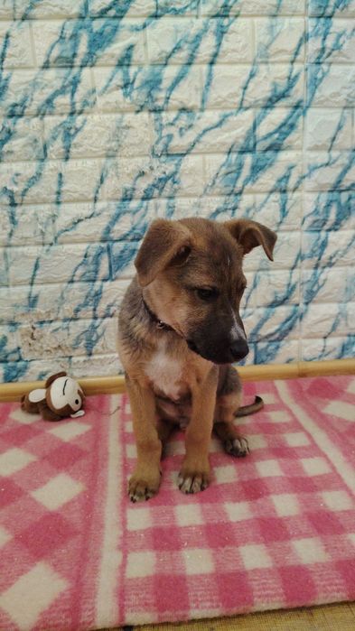 Малыши ждут своих родителей