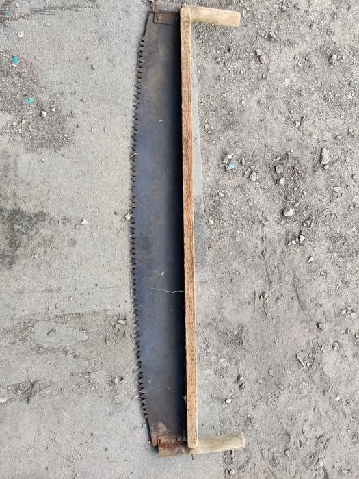 Дружба пила ссср