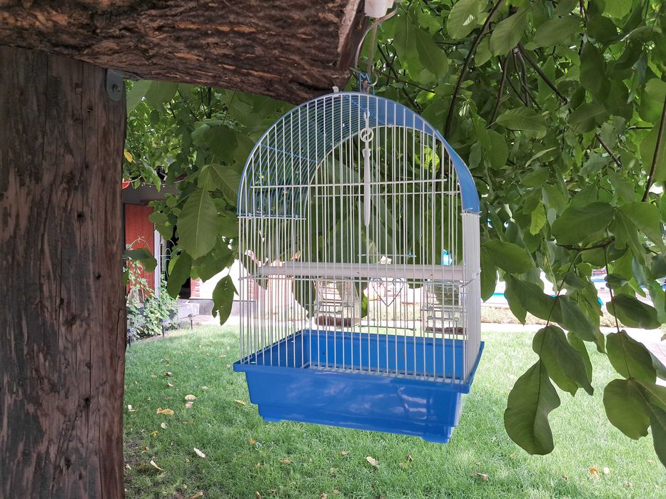 Клетка для попугаев и птиц