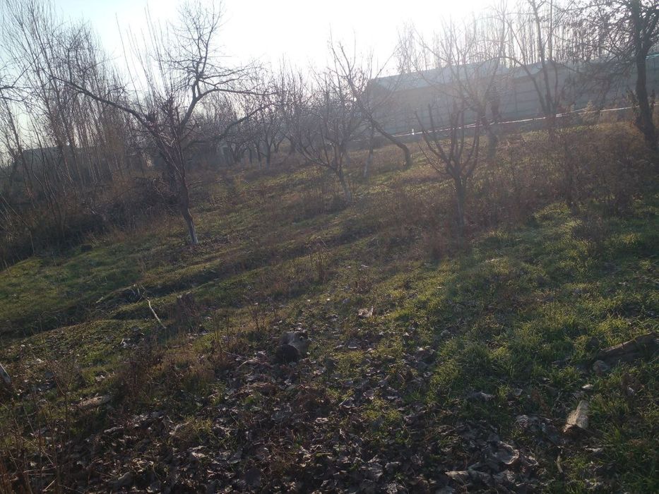 Uchastka sotiladi srochna