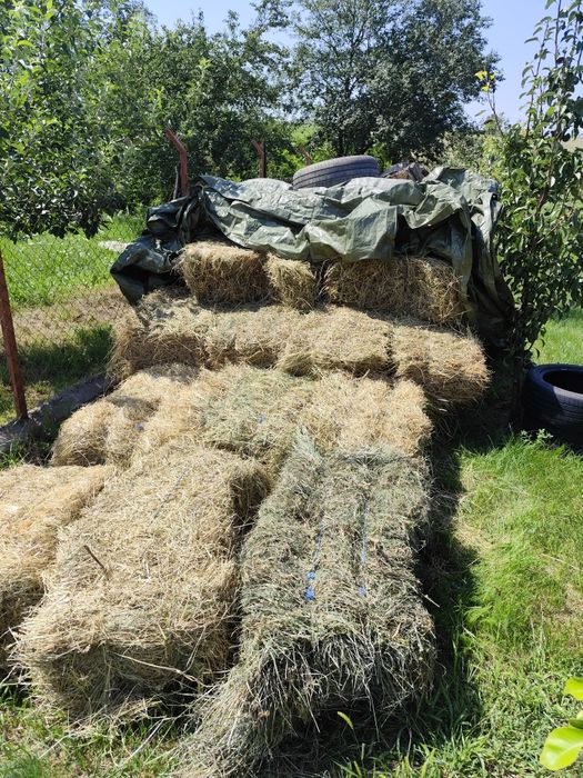 Baloti lucerna si iarba