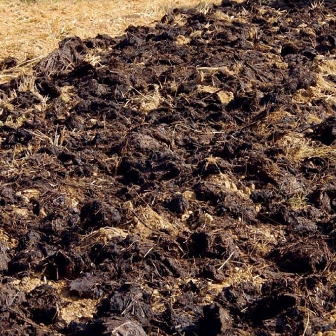 Навоз для города.