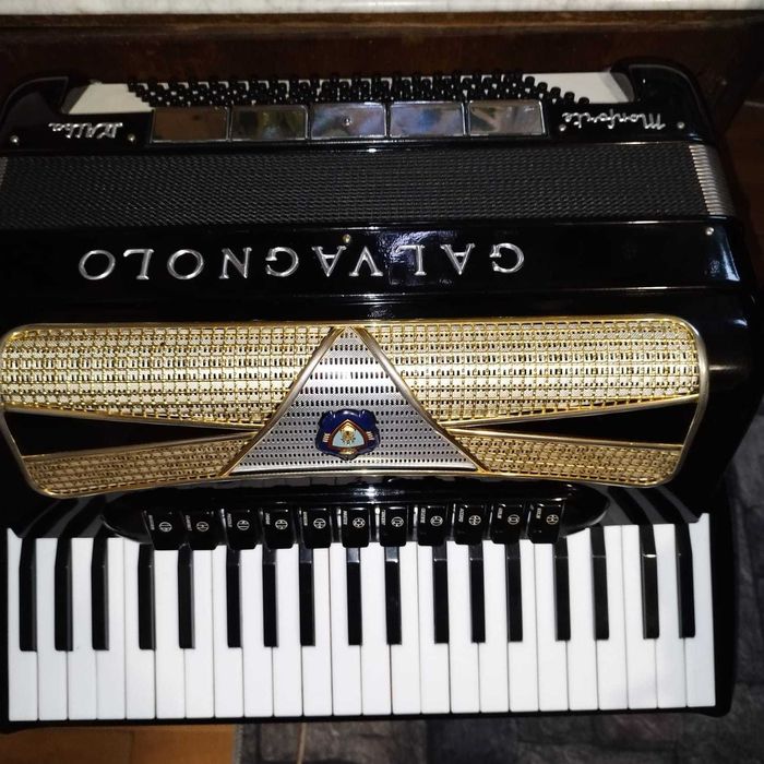 Vīnd acordeon Calvagnolo profesional cassoto 2+2 cu reg la barbă.