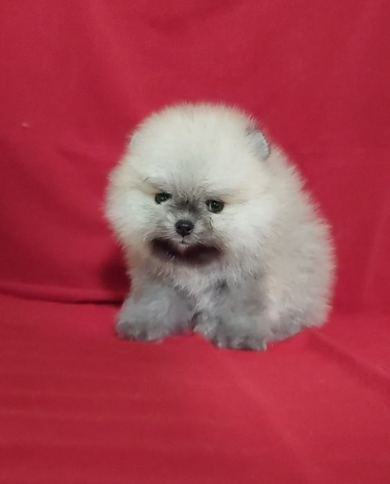 Сссупер мини девочка