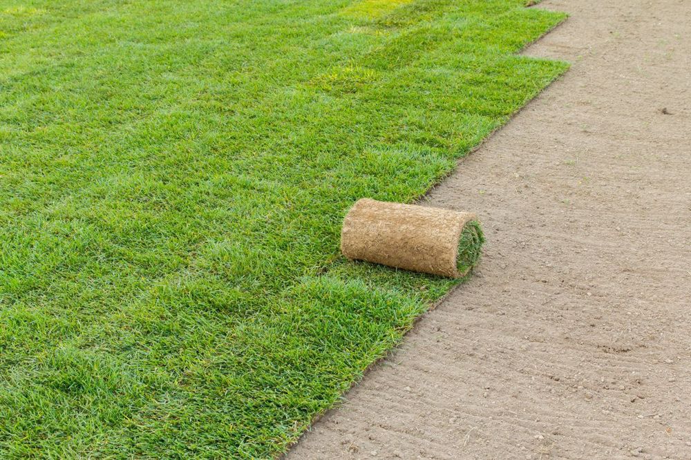 Tayyor gazon ornatish landshaft dizayn xizmati